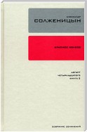 Красное колесо. Узел 1. Август Четырнадцатого. Книга 2