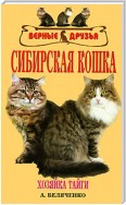 Сибирская кошка