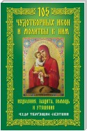 105 чудотворных икон и молитвы к ним. Исцеление, защита, помощь и утешение. Чудо творящие святыни