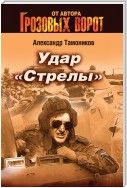 Удар «Стрелы»