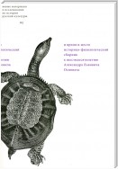 И время и место: Историко-филологический сборник к шестидесятилетию Александра Львовича Осповата