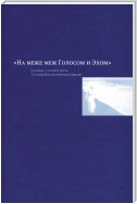 На меже меж Голосом и Эхом. Сборник статей в честь Татьяны Владимировны Цивьян