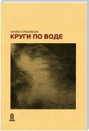 Круги по воде. Январь 2006 – август 2008