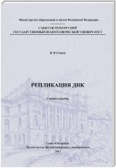 Репликация ДНК: учебное пособие