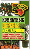 Комнатные деревья и кустарники: лимон, вишня, гранат, можжевельник, акация, жасмин и многие другие