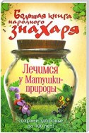 Большая книга народного знахаря. Лечимся у Матушки-природы