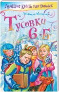 Тусовки 6 «Б»