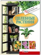 Целебные растения