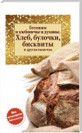 Готовим в хлебопечке и духовке. Хлеб, булочки, бисквиты и другая выпечка