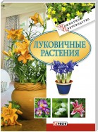 Луковичные растения