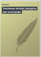 Унесенные ветром. Анекдоты про катастрофы