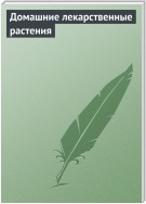 Домашние лекарственные растения