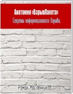 Анатомия «ВзрывПакета». Секреты информационного взрыва