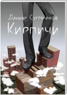 Кирпичи