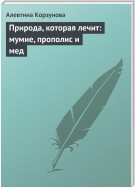 Природа, которая лечит: мумие, прополис и мед