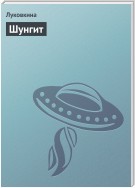 Шунгит