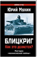 Блицкриг: как это делается? Секрет «молниеносной войны»