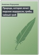 Природа, которая лечит: морские водоросли, грибы, чайный гриб