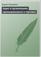 Аудит в организациях промышленности и торговли