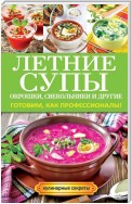 Летние супы, окрошки, свекольники и другие. Готовим, как профессионалы!