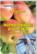 Формирование и обрезка плодового сада