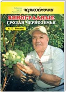 Виноградные грозди Черноземья