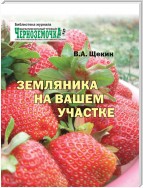 Земляника на вашем участке