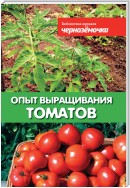 Опыт выращивания томатов