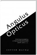 Angulus / Opticus. Третья книга стихотворений. 2009–2011 гг.