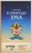 Смотри в природу ума. Классический учебник по практике Махамудры