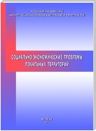 Социально-экономические проблемы локальных территорий