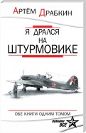 Я дрался на штурмовике. Обе книги одним томом