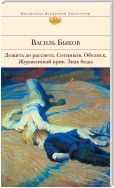 Дожить до рассвета; Сотников; Обелиск; Журавлиный крик; Знак беды (сборник)