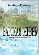 Барская жизнь. Провинциальные рассказы