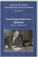 Александр Иванович Шокин. Портрет на фоне эпохи