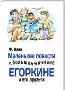 Маленькие повести о большом мичмане Егоркине и его друзьях