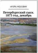 Петербургский сыск. 1873 год, декабрь