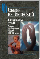 В скрещенье лучей. Очерки французской поэзии XIX–XX веков