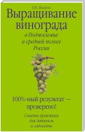 Выращивание винограда в Подмосковье и средней полосе России