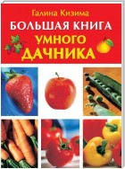 Большая книга умного дачника