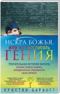 Искра Божья, или Как воспитать гения