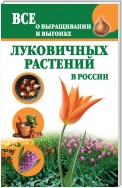 Все о выращивании и выгонке луковичных растений в России