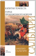 Капитан Темпеста. Город Прокаженного короля (сборник)