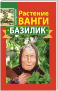 Растение Ванги. Базилик