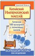 Китайский Императорский массаж. Лечение 100 болезней с помощью банок. Большой атлас зон исцеления