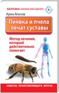 Пиявка и пчела лечат суставы. Метод лечения, который действительно помогает. Советы практикующего врача