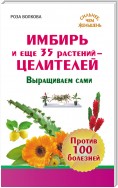 Имбирь и еще 35 растений-целителей. Выращиваем сами. Против 100 болезней