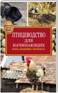 Птицеводство для начинающих