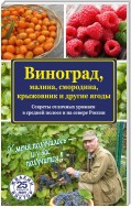 Виноград, малина, смородина, крыжовник и другие ягоды