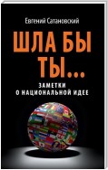 Шла бы ты… Заметки о национальной идее